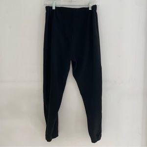 Aritizia black pants